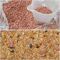 Wild Bird Original Seed Mix Berry Suet Pellets Bird Food Bundle